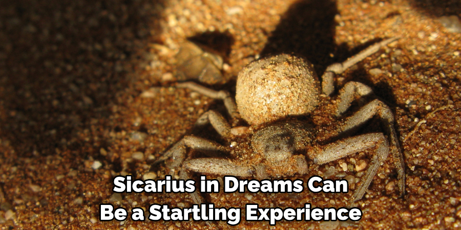 Sicarius in Dreams Can 
Be a Startling Experience