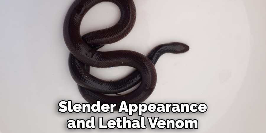 Slender Appearance and Lethal Venom