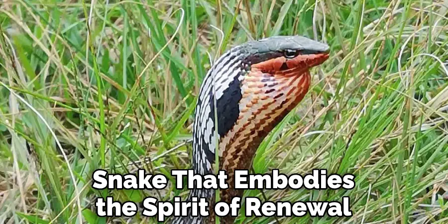 Snake That Embodies
the Spirit of Renewal