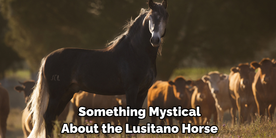 Something Mystical 
About the Lusitano Horse