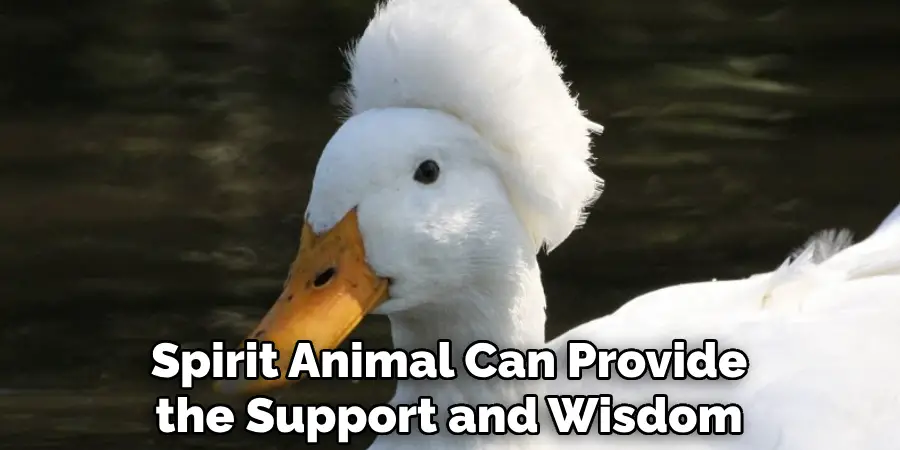 Spirit Animal Can Provide the Support and Wisdom