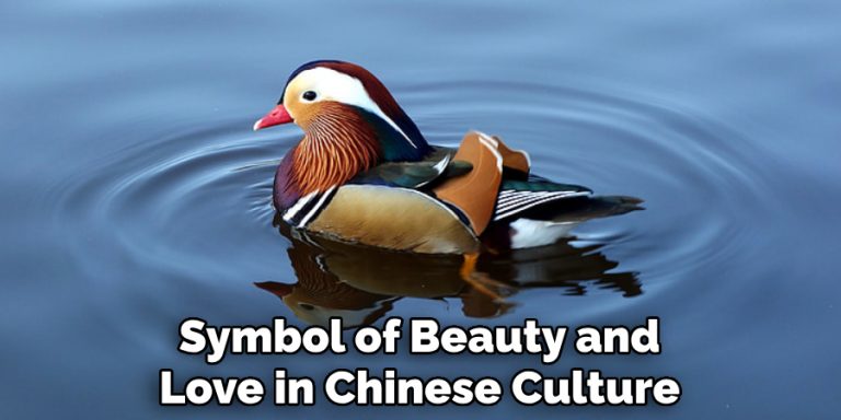 Mandarin Duck Spiritual Meaning Symbolism And Totem 2025 