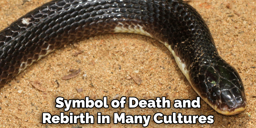 Symbol of Death and Rebirth in Many Cultures