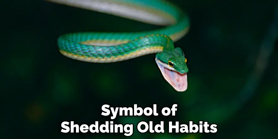 Symbol of Shedding Old Habits