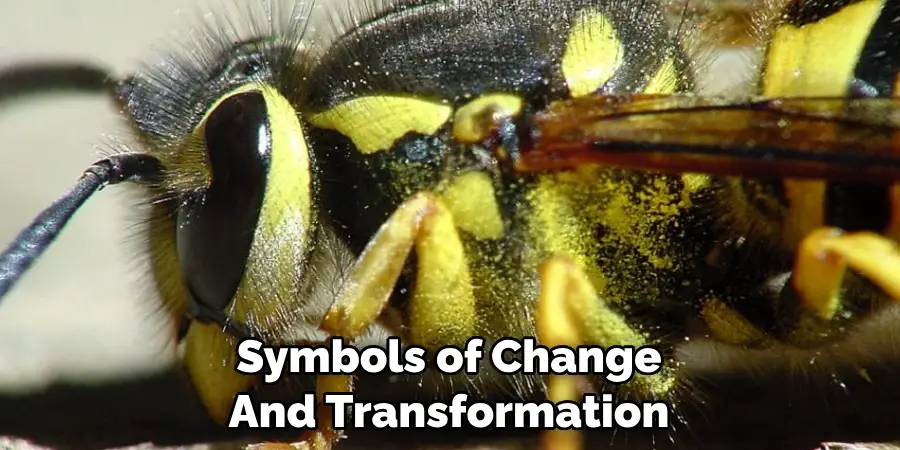Symbols of Change 
And Transformation