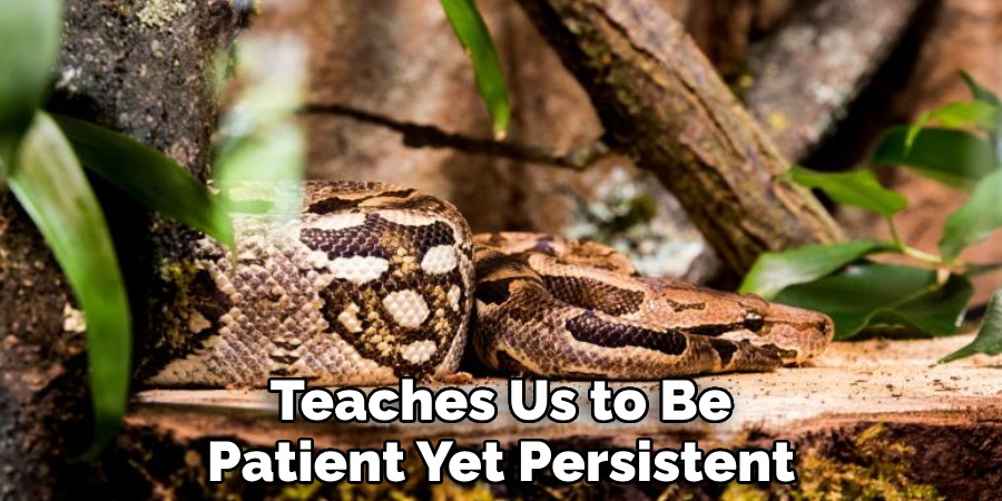 Teaches Us to Be Patient Yet Persistent