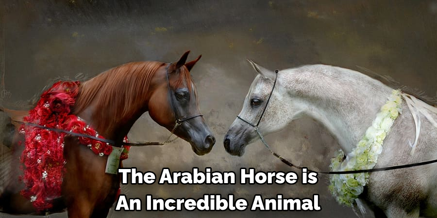 The Arabian Horse is 
An Incredible Animal