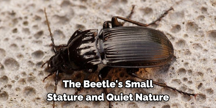 The Beetle's Small 
Stature and Quiet Nature