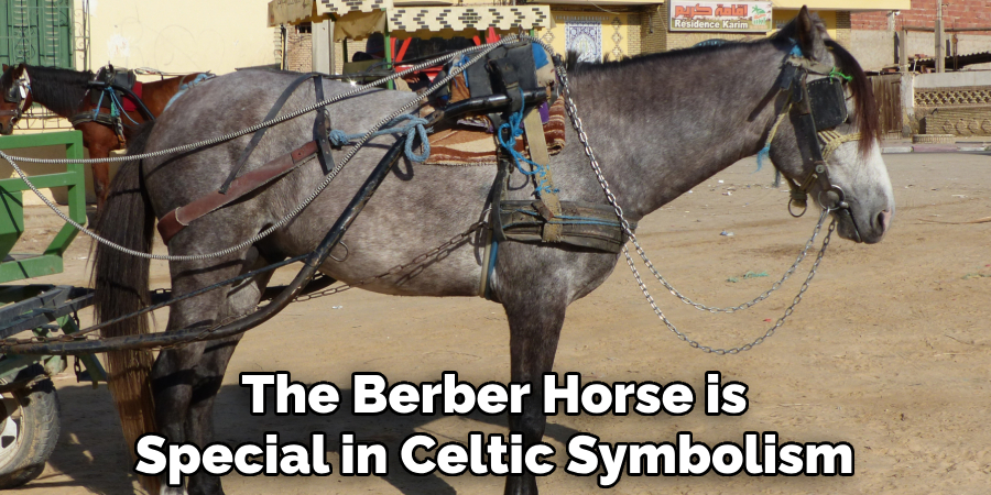 The Berber Horse is Special in Celtic Symbolism