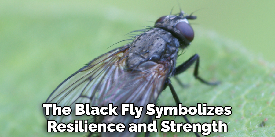 The Black Fly Symbolizes Resilience and Strength