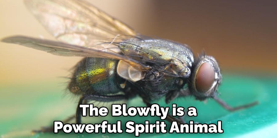 The Blowfly is a Powerful Spirit Animal