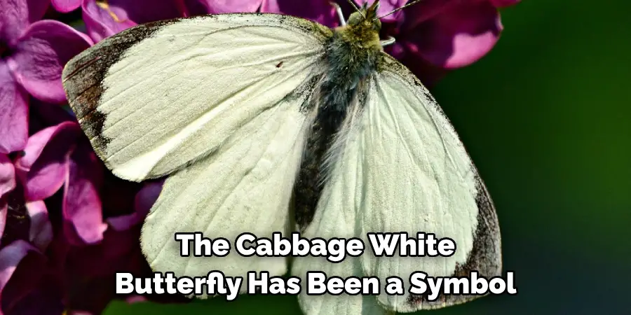 The Cabbage White 
Butterfly Has Been a Symbol