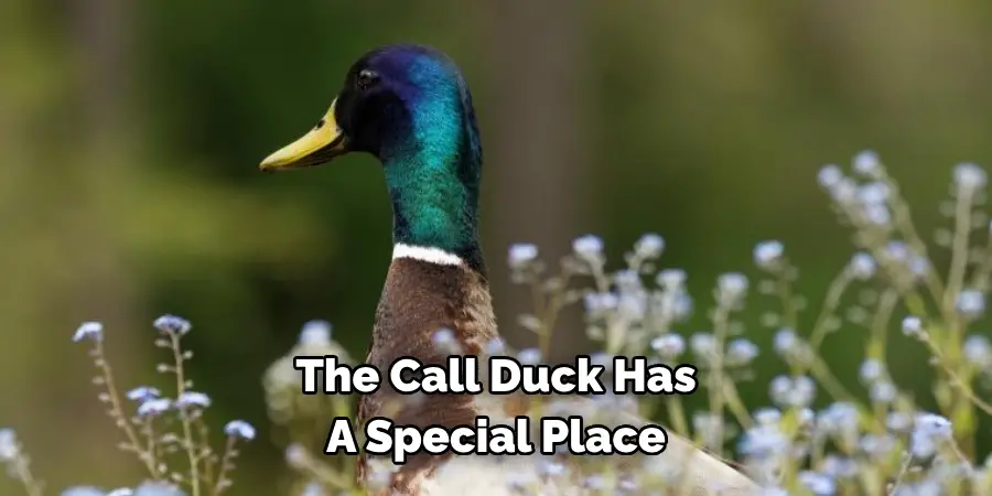 The Call Duck Has 
A Special Place 