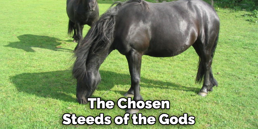 The Chosen Steeds of the Gods