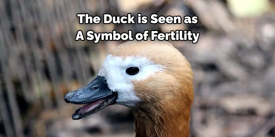 The Duck is Seen as 
A Symbol of Fertility