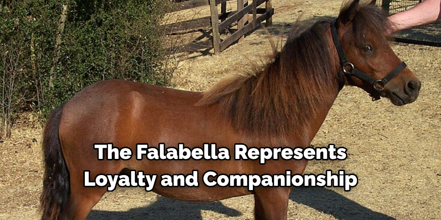 The Falabella Represents 
Loyalty and Companionship