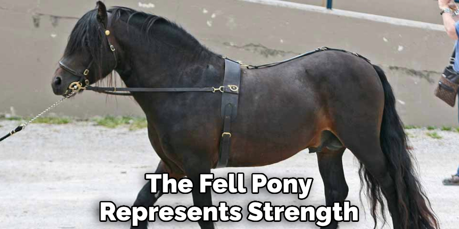 The Fell Pony Represents Strength