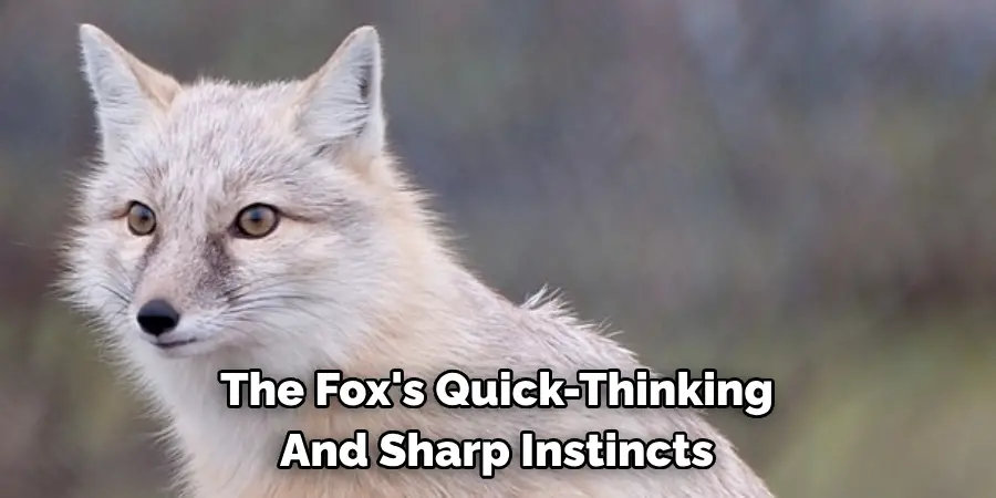 The Fox's Quick-Thinking 
And Sharp Instincts