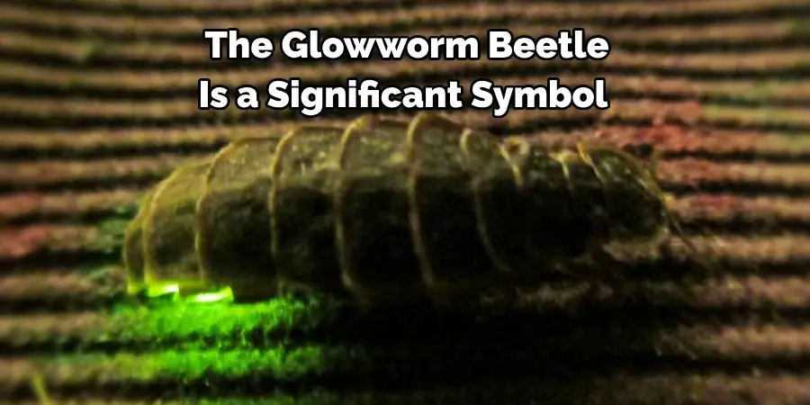 The Glowworm Beetle 
Is a Significant Symbol 