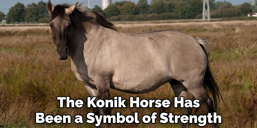 The Konik Horse Has Been a Symbol of Strength