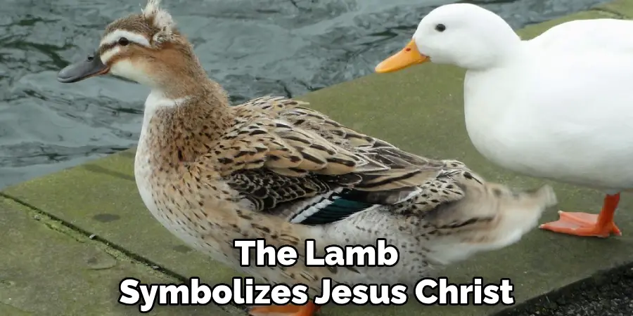 The Lamb Symbolizes Jesus Christ