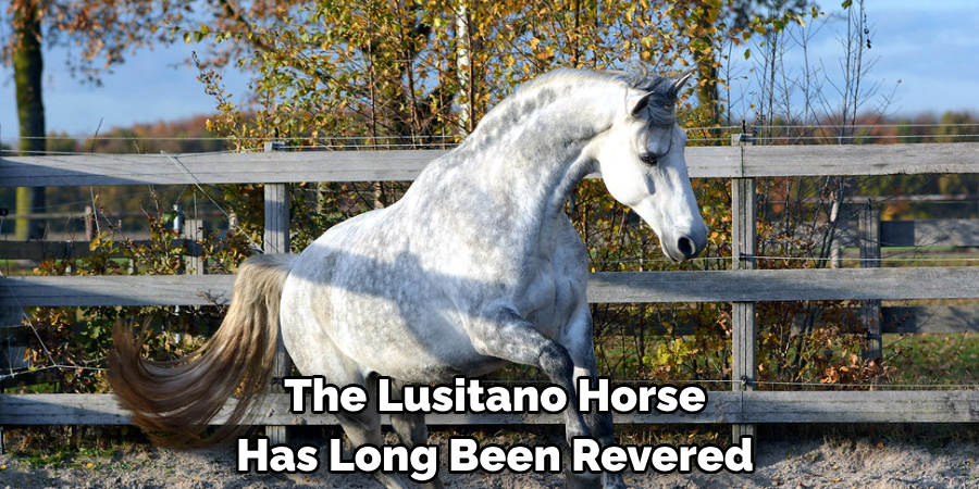 The Lusitano Horse 
Has Long Been Revered