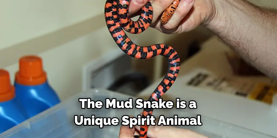 The Mud Snake is a 
Unique Spirit Animal
