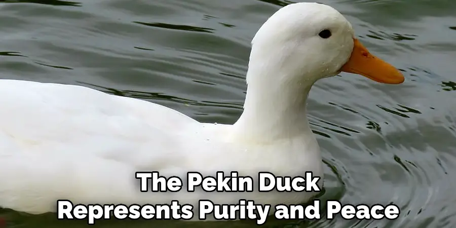 The Pekin Duck Represents Purity and Peace