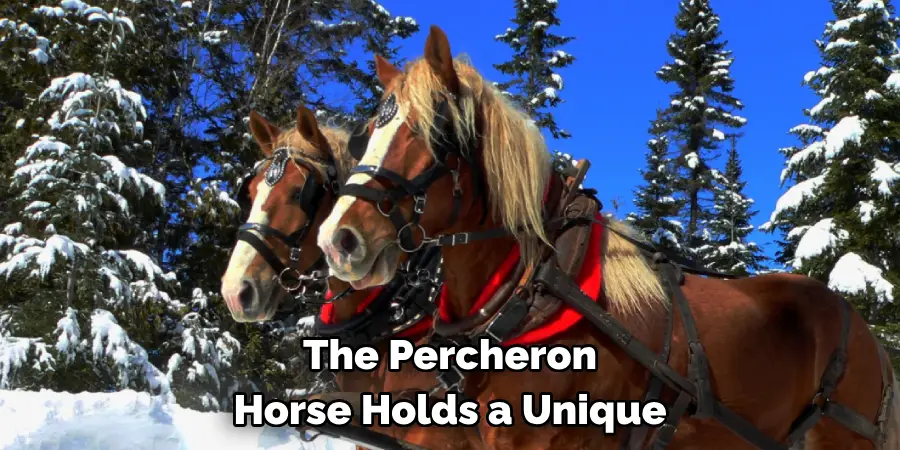The Percheron 
Horse Holds a Unique 