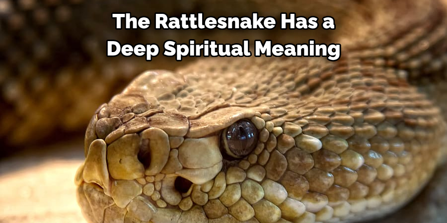 The Rattlesnake Has a 
Deep Spiritual Meaning