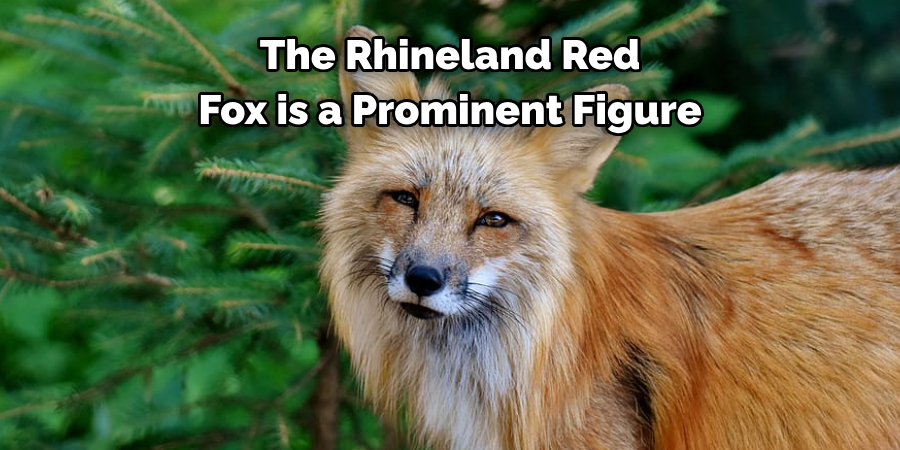 The Rhineland Red 
Fox is a Prominent Figure
