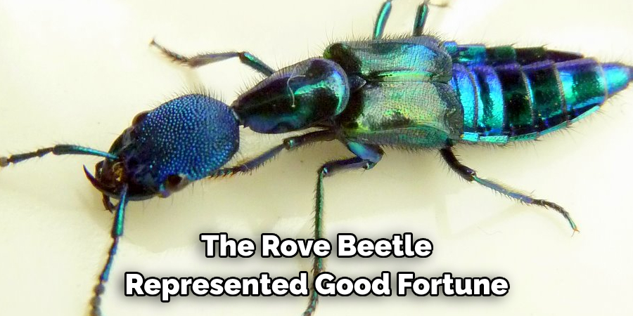 The Rove Beetle Represented Good Fortune