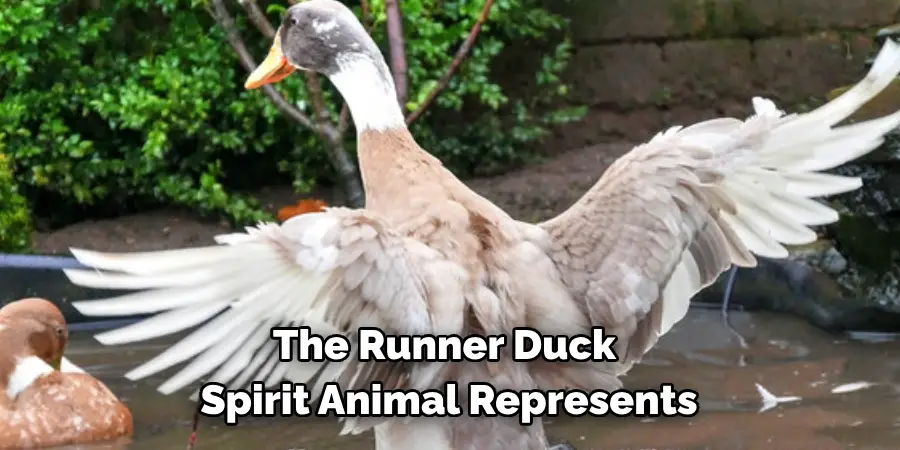 The Runner Duck 
Spirit Animal Represents