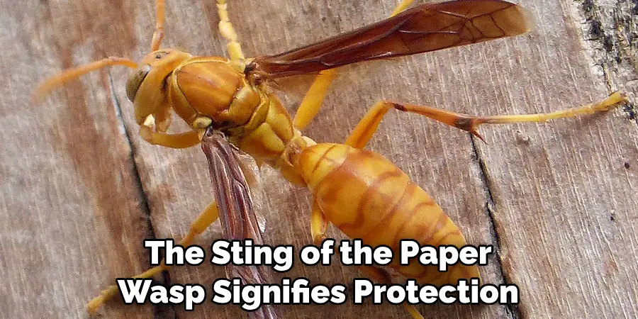 The Sting of the Paper 
Wasp Signifies Protection