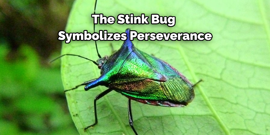 The Stink Bug 
Symbolizes Perseverance
