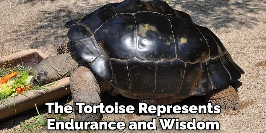 The Tortoise Represents
Endurance and Wisdom