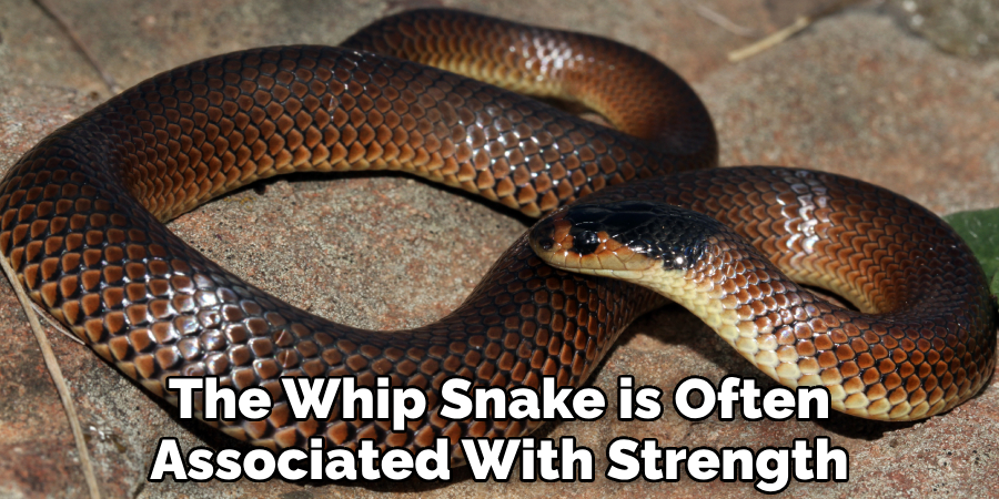 The Whip Snake is Often Associated With Strength