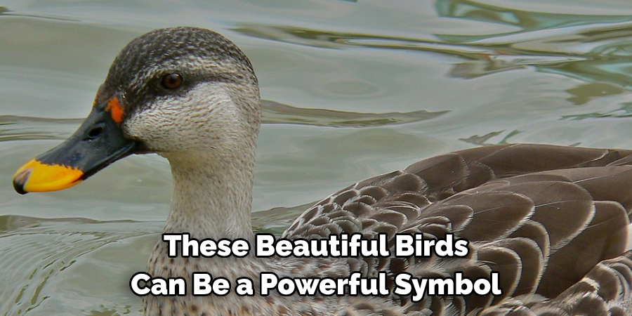 These Beautiful Birds Can Be a Powerful Symbol