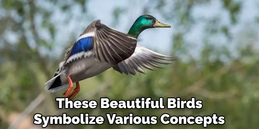 These Beautiful Birds Symbolize Various Concepts