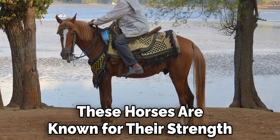 These Horses Are Known for Their Strength