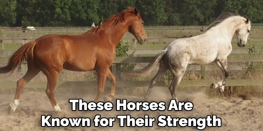 These Horses Are Known for Their Strength
