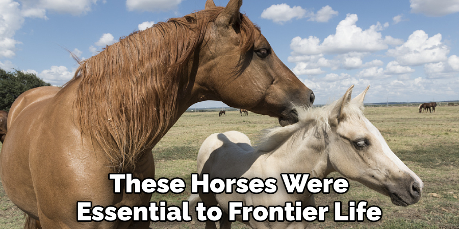 These Horses Were Essential to Frontier Life