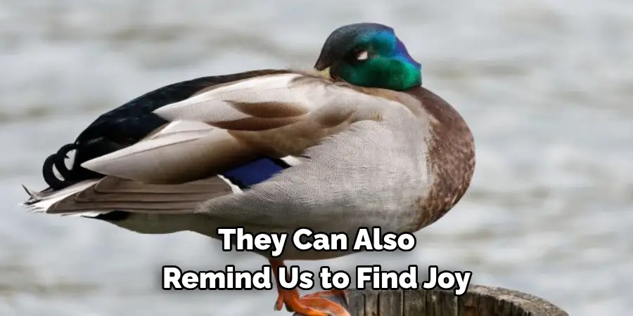 They Can Also 
Remind Us to Find Joy