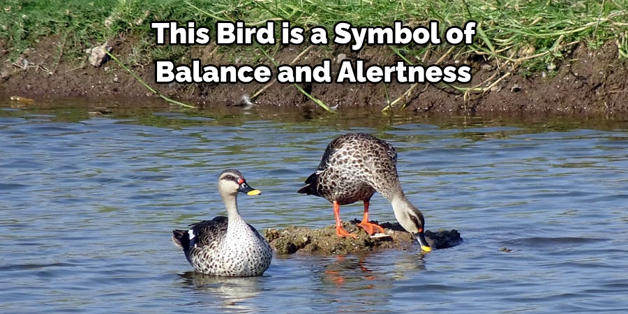 This Bird is a Symbol of 
Balance and Alertness