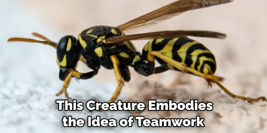  This Creature Also 
Embodies the Idea of Teamwork