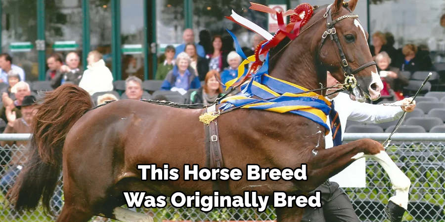 This Horse Breed 
Was Originally Bred