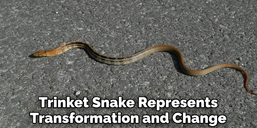 Trinket Snake Represents
Transformation and Change