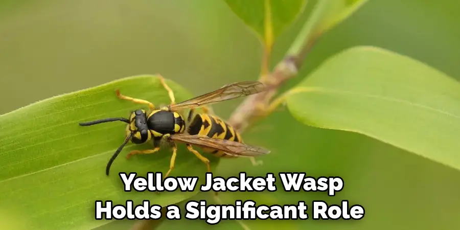  Yellow Jacket Wasp
Holds a Significant Role