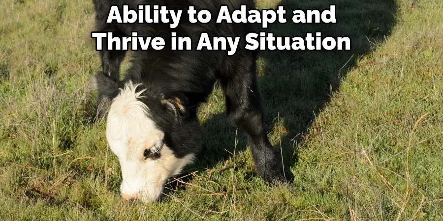 Ability to Adapt and Thrive in Any Situation