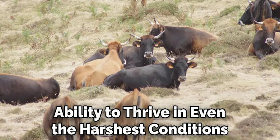 Ability to Thrive in Even the Harshest Conditions